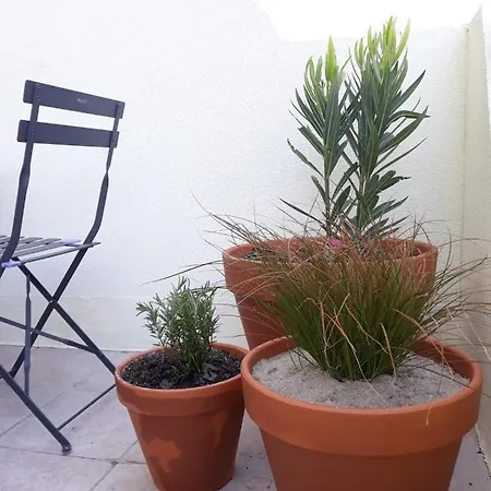 Apartment En Bord De
